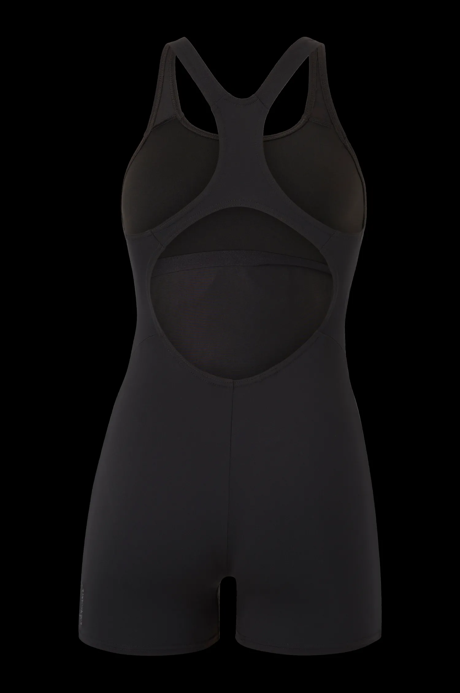 Dam Speedo Baddrakt Womens Eco Endurance+ Legsuit