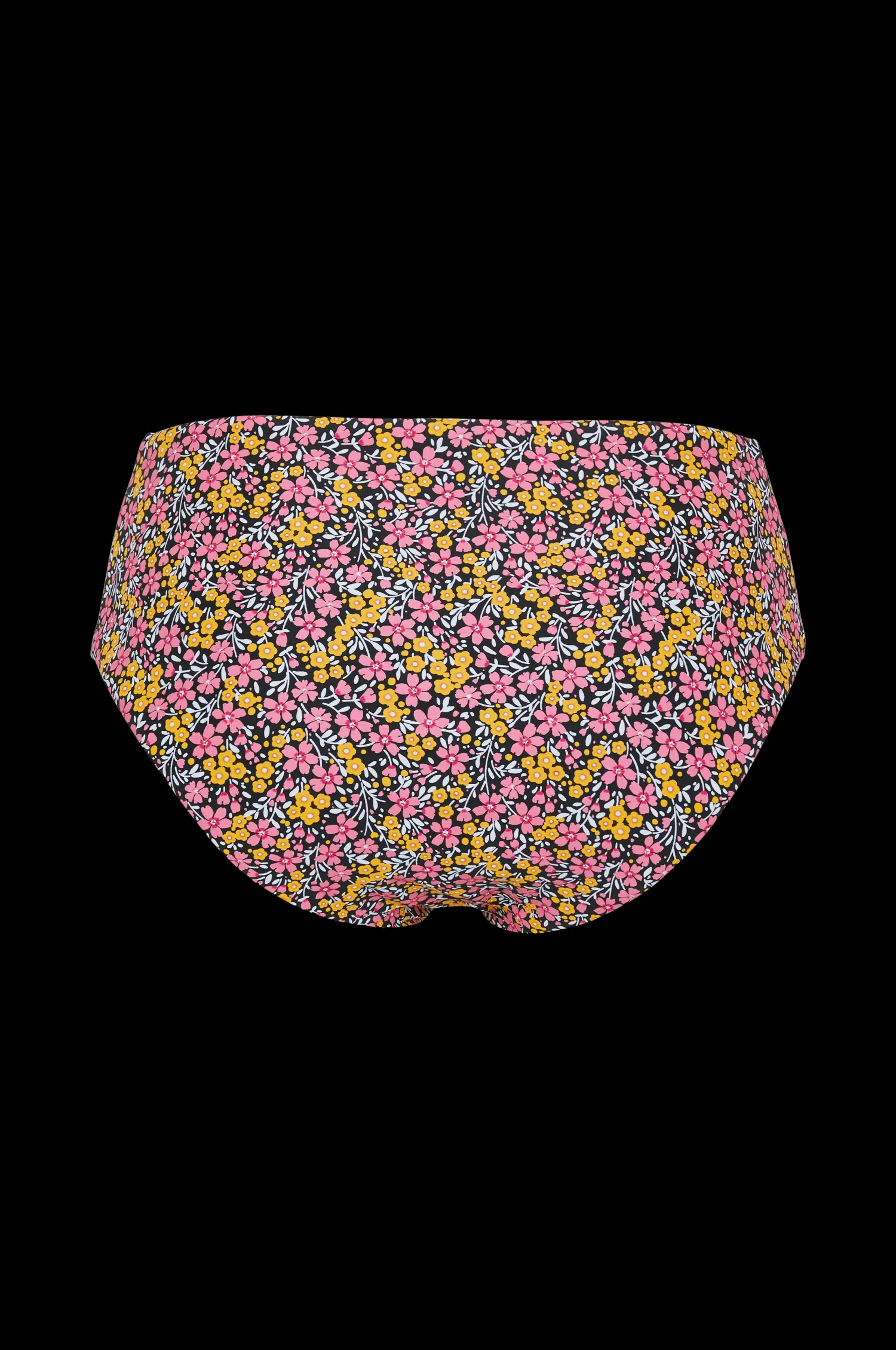 Dam Abecita Bikinitrosa Maui Bikini Briefs