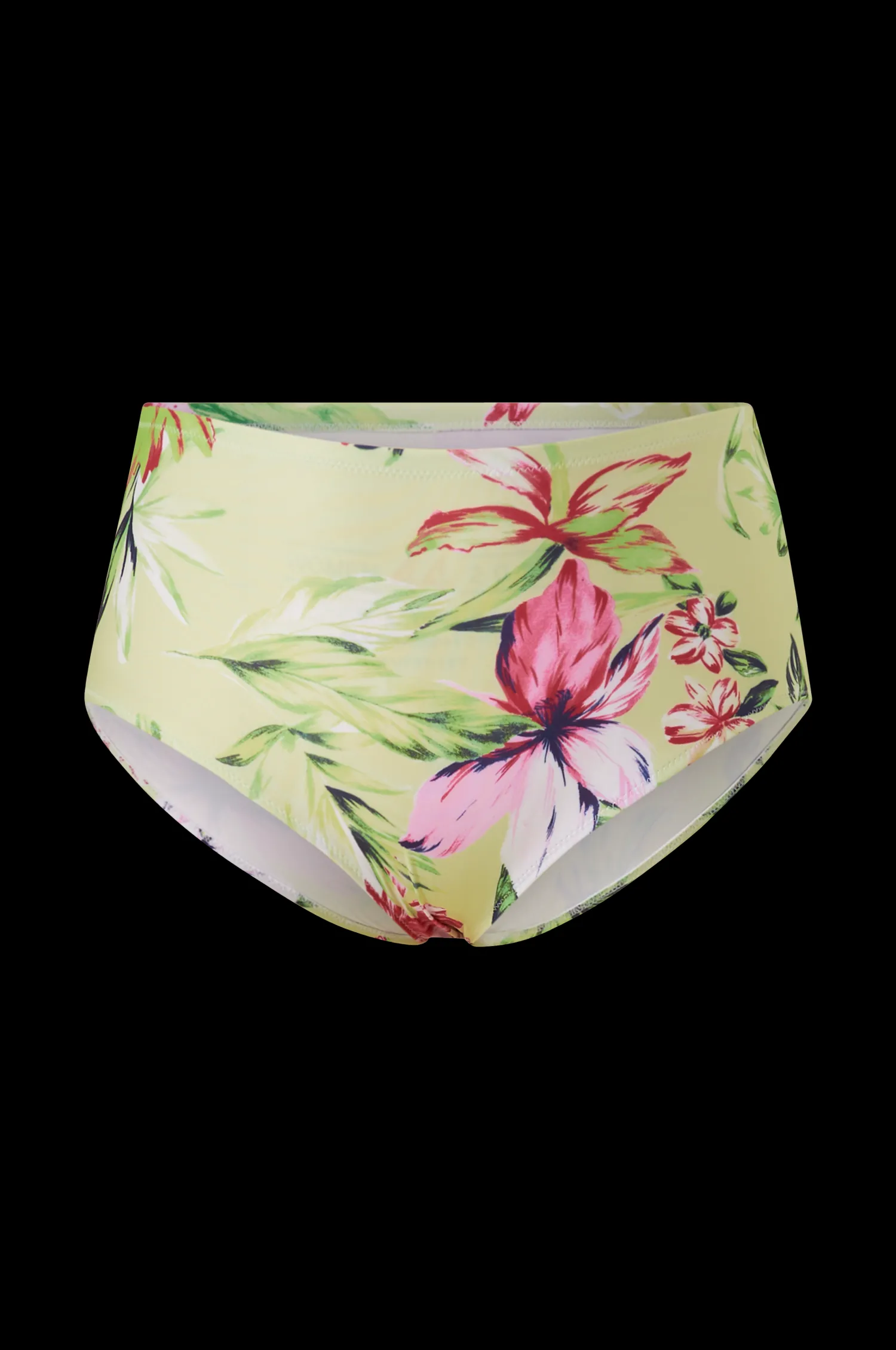 Dam Only Carmakoma Bikinitrosor Carsophia High-Waisted Brief