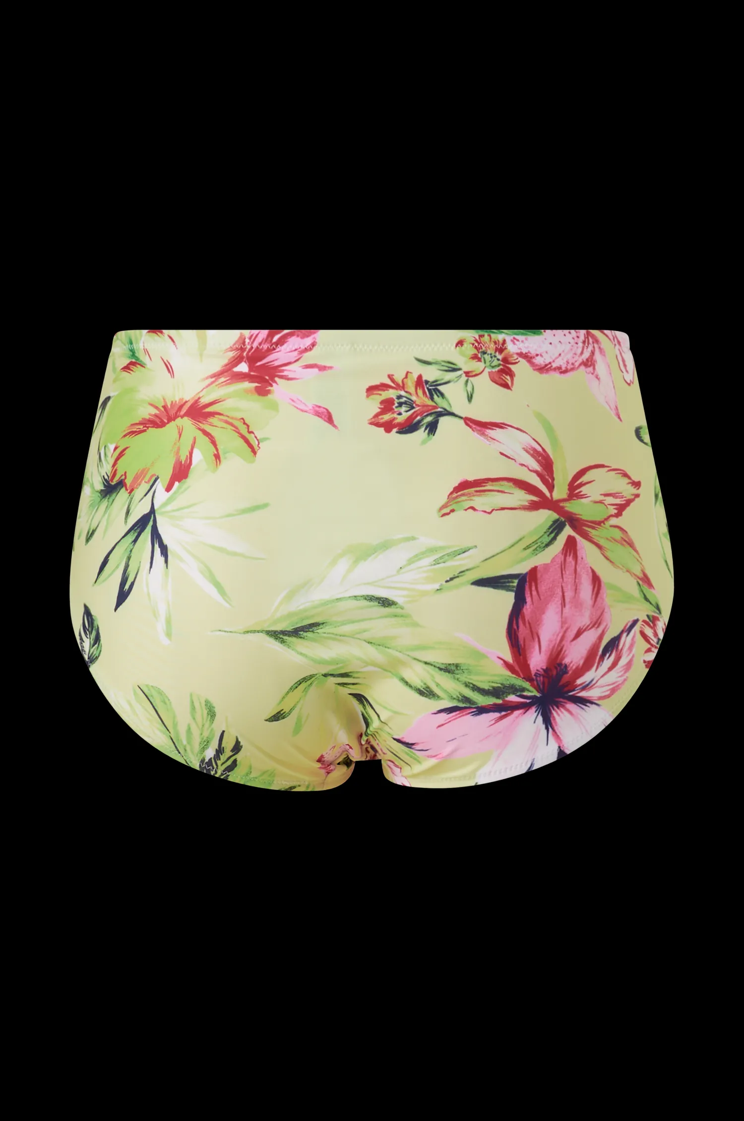 Dam Only Carmakoma Bikinitrosor Carsophia High-Waisted Brief