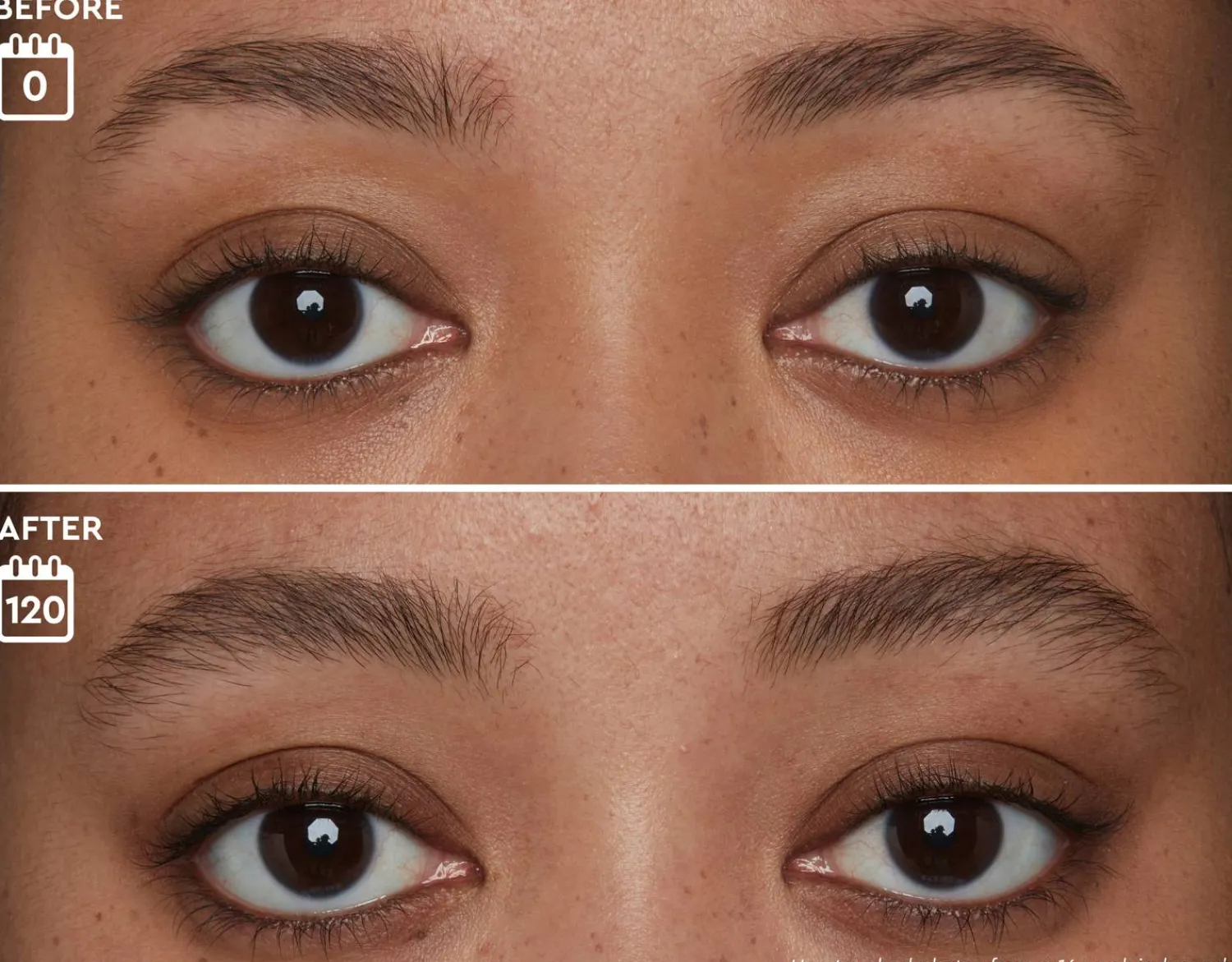 Anastasia Brow Genius® Serum