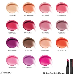 Shiseido Colorgel Lipbalm