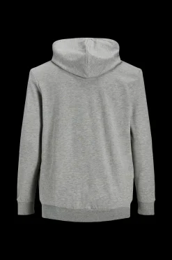 Jack & Jones Hoodie Jjebasic Sweat Zip Hood Noos Ps Outlet