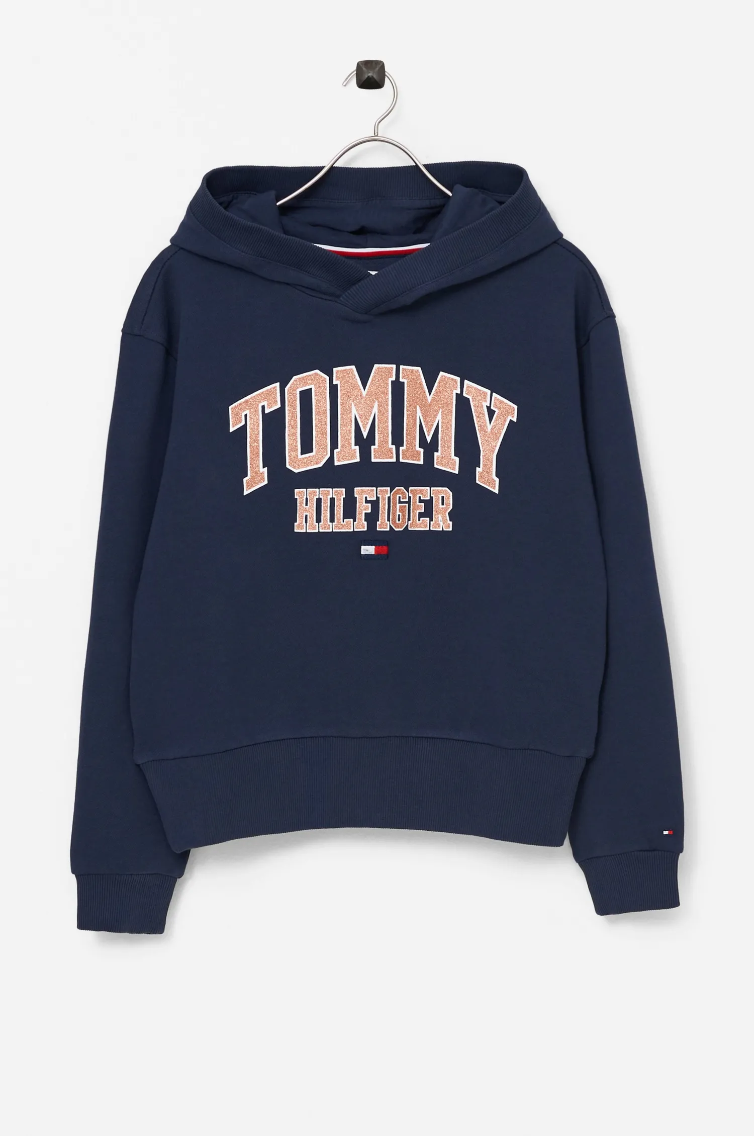 Tommy Hilfiger Huvtroja Essential Varsity Hoodie Flash Sale