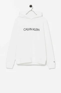 Calvin Klein Huvtroja Institutional Logo Hoodie Flash Sale