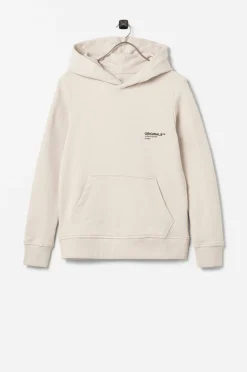 Jack & Jones Huvtroja Jorclean Sweat Hood Jnr Outlet