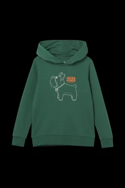 Jack & Jones Huvtroja Jorpal Sweat Hood Fst Jnr Discount
