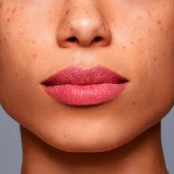 Shiseido Lipliner Inkduo