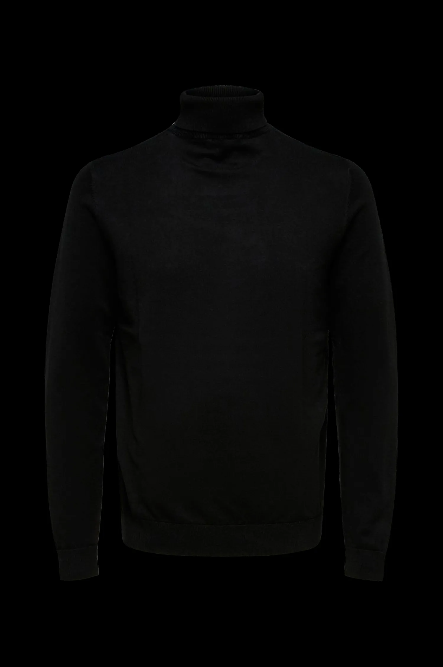 Selected HOMME Polotroja Slhberg Roll Neck Clearance