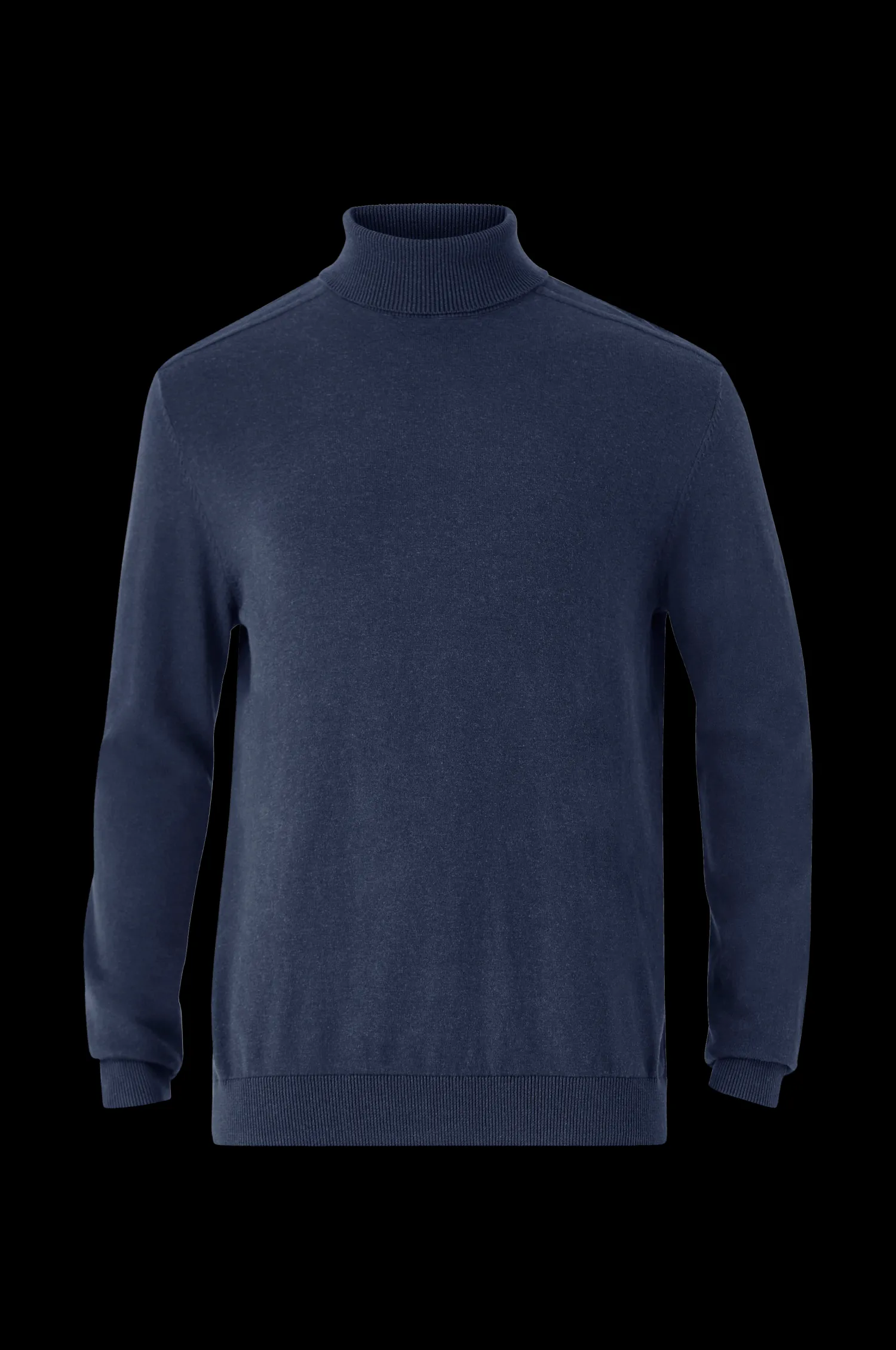 Selected HOMME Polotroja Slhberg Roll Neck Cheap