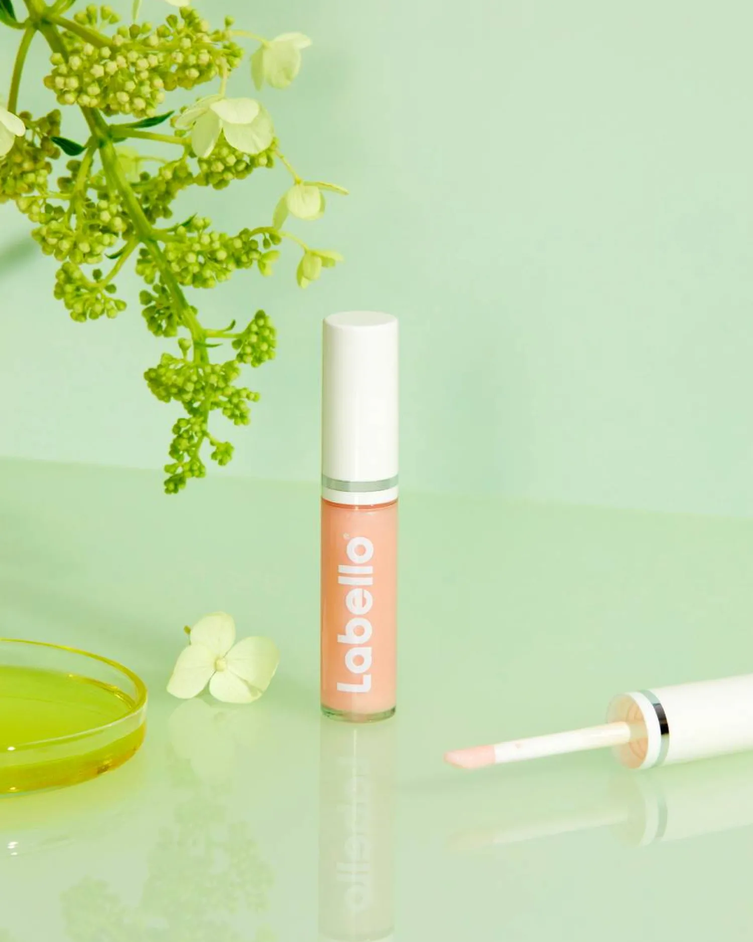 Labello Presentask Glossy Lips