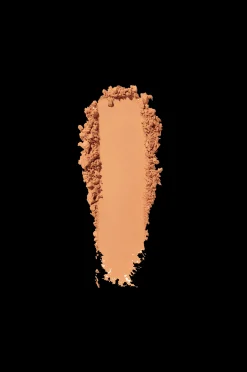 Shiseido Ss Powder Foundation
