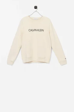 Calvin Klein Sweatshirt Instutional Logo Discount
