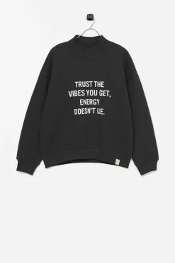 I dig denim Sweatshirt Tom Turtle Sweater Organic Store