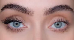 Sweed Lashes Ida Ekman Flair (Individuals)