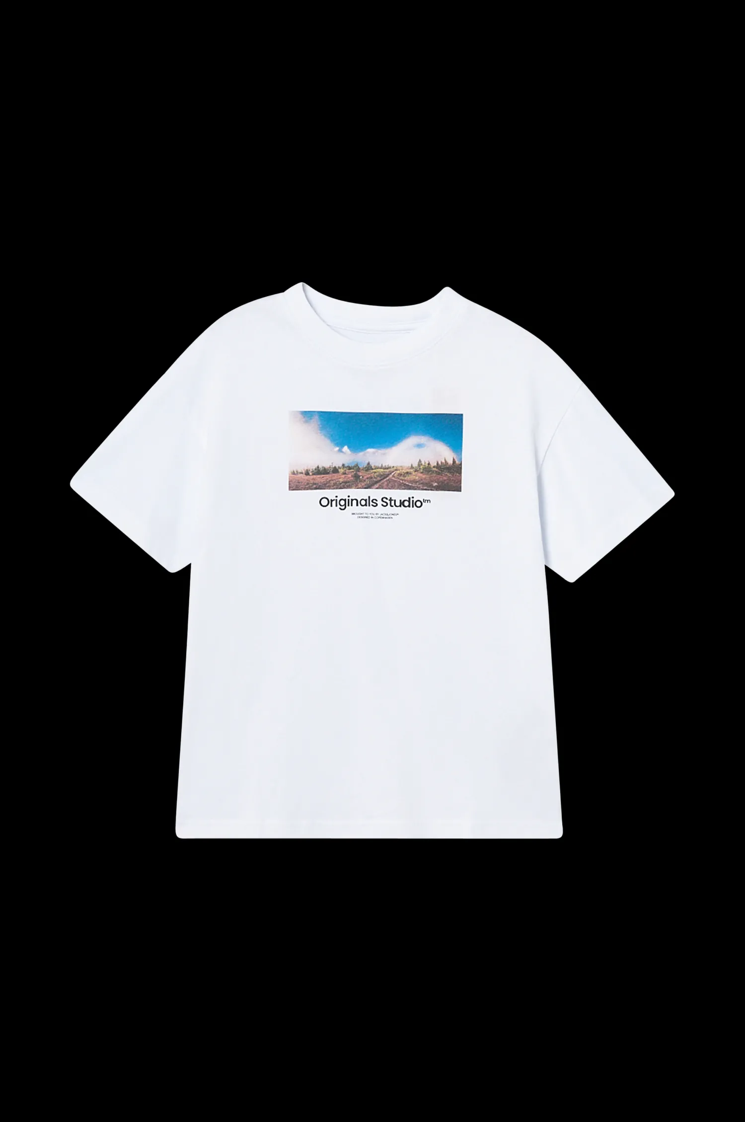 Jack & Jones T-Shirt Jorvesterbro Photo Ss Tee Crew Neck Fashion